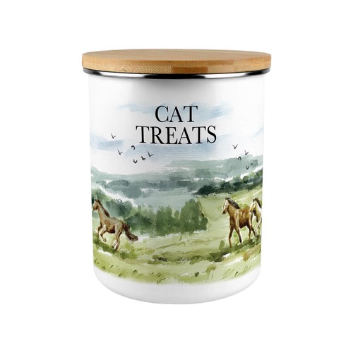 Wild horses cat - wild, treats